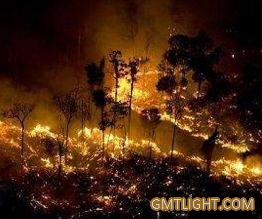 亚马逊森林大火