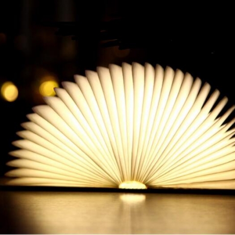 Folding USB rechargeable led Book Light
