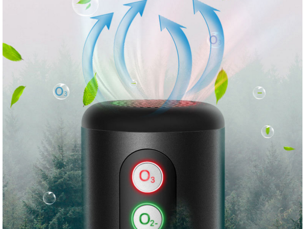 Negative ion ozone air purifier for automobile