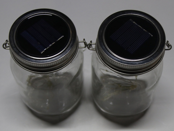 Solar Powered Mason Jars with 4pcs bright led light  (LUL-007)