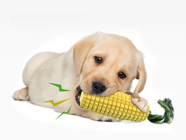 Corn shape sound type dog toothbrush (No.DB-020Y)