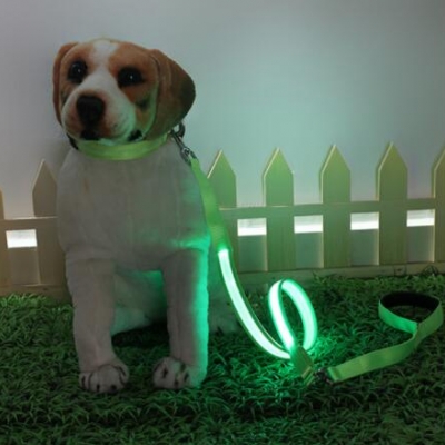 Colorful light led flashing light pet leash (150pcs/lot)