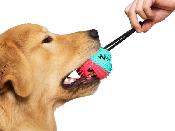 Dog treat ball food dispensing chew toy (No.DB-022)