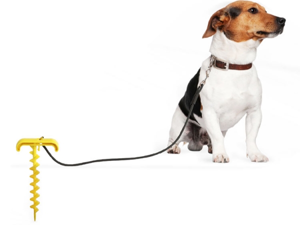 Dog chowing toy ball with rope tie-out stake (No.DB-X02)