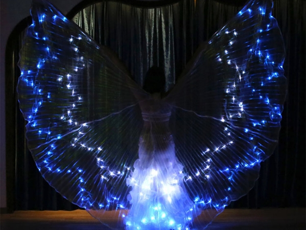 36 color changing LED dancing performance woman wings (No.YC-002C)