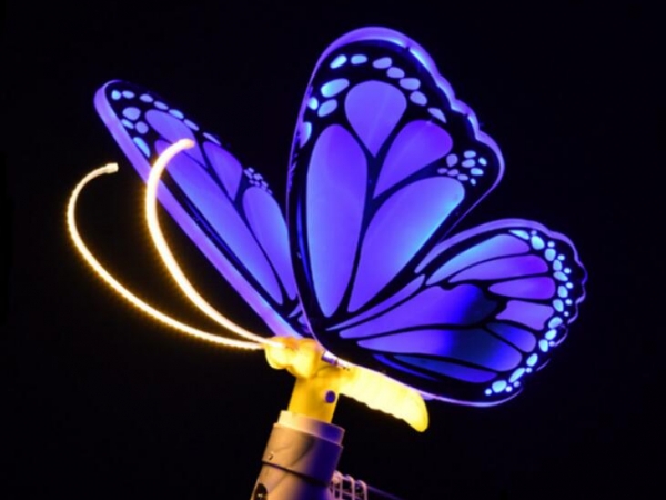 Dynamic landscape of luminous super large butterfly with lively effect