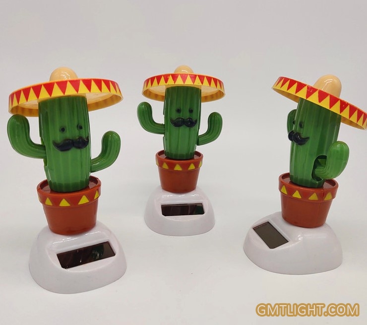 values of cactus