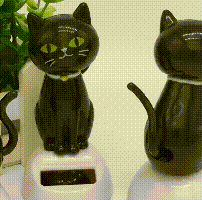 solar automatic shake head black cat
