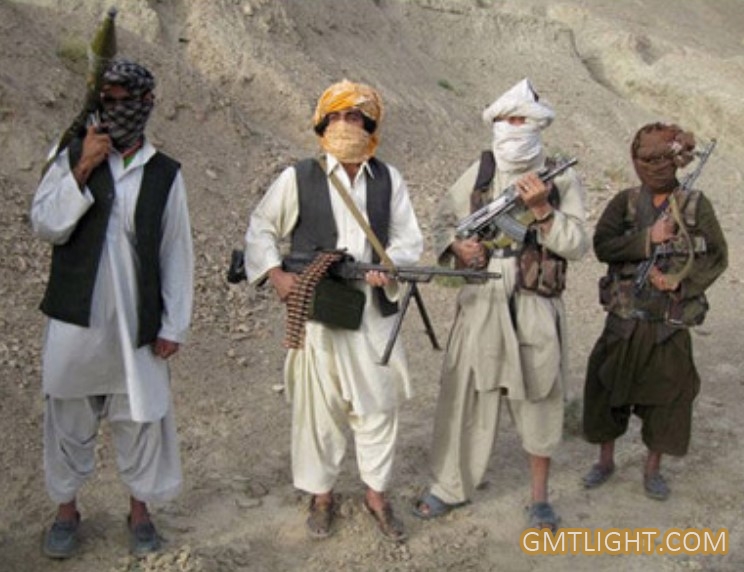 “塔利班”与“基地组织”有何不同？