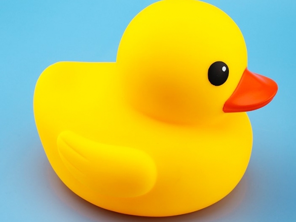 Little yellow duck used for gift selection for kids