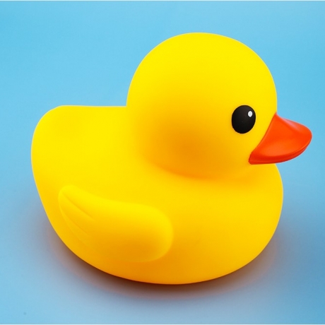 Little yellow duck used for gift selection for kids