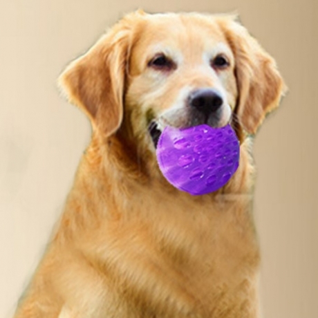 flash solid hole ball for pet dog specially