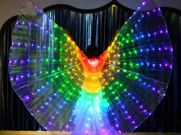 LED light large dance adults wings