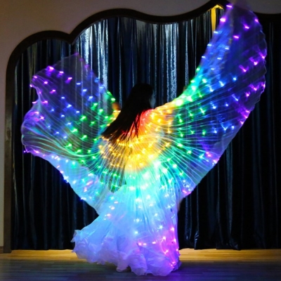 LED发光大翅膀