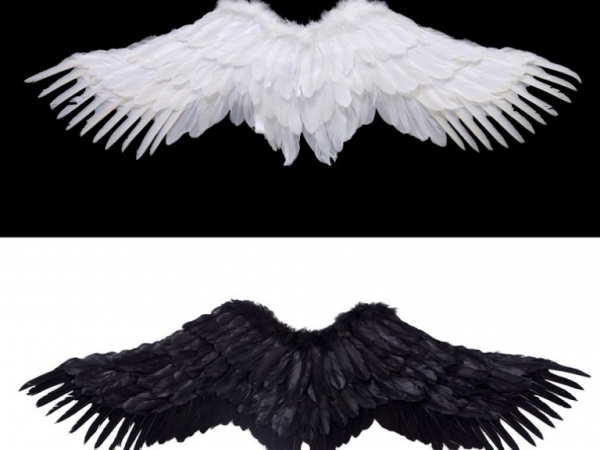 Extra large simulated feather angel wings