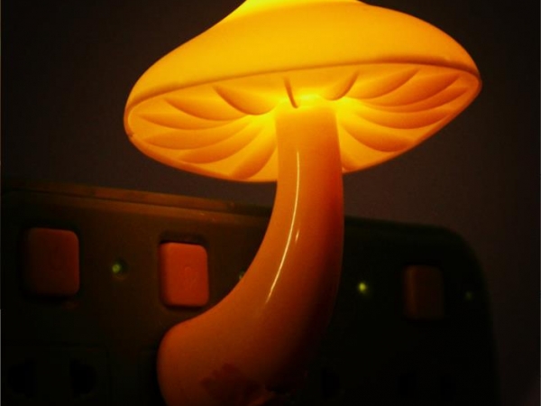 American plug European plug Plug and play mushroom concept lamp