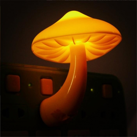 American plug European plug Plug and play mushroom concept lamp