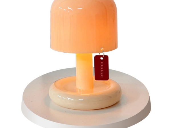 Rechargeable mini size living room decorative table lamp (No.ML-X101)